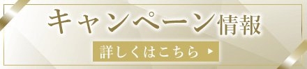キャンペーン情報（初版）
