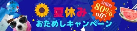 キャンペーン情報